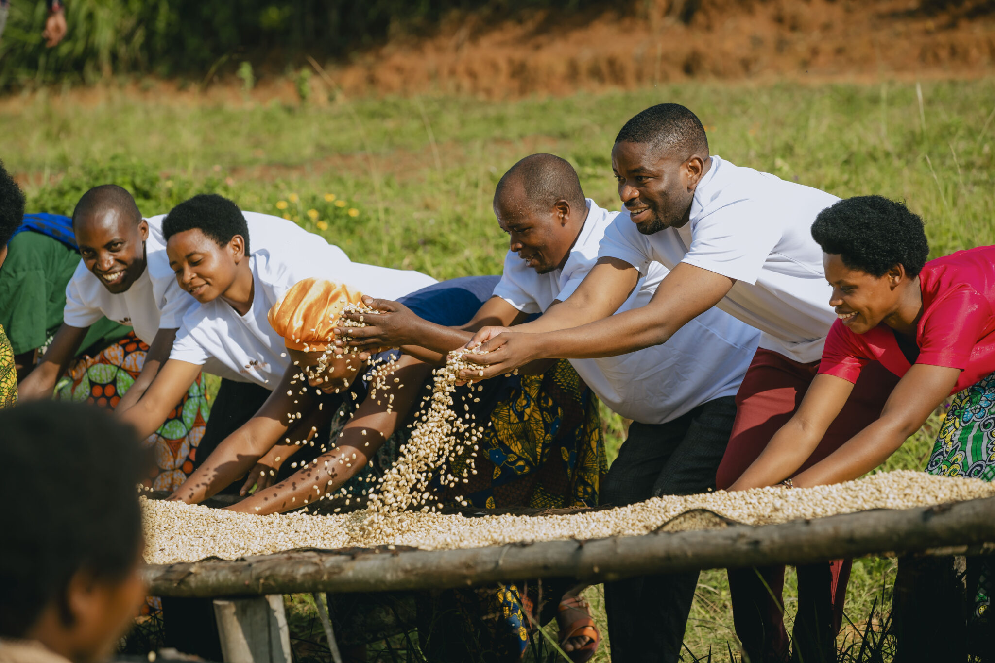 Rutasoka partners with East African small-scale farmers to responsibly source coffee and restore biodiversity. From planting seedlings to roasting in Sweden, every cup reflects our commitment to sustainability, community empowerment, and a greener future. Read the full story →